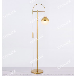 Semi-Lifting Modern Stainless Steel Floor Lamp Citilux