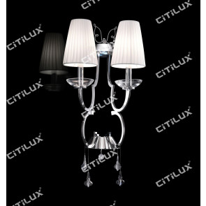Simple European-Style Wire Cut Stainless Steel Double Head Wall Lamp Citilux