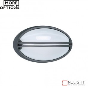 Airone Oval Guard 240V Wall Light E27 DOM