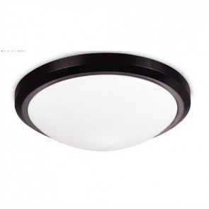 Jenny Two Light Wall or Ceiling Light with Plce Globe Only Hermosa Lighting